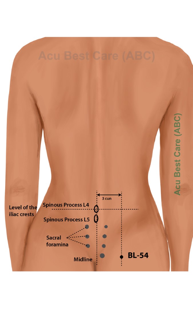 Acubestcare Meridian UB-54 or BL-54